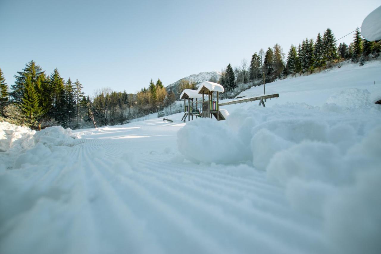 Chalets Und Apartments Hauserhof Nassfeld シュラニツェン エクステリア 写真