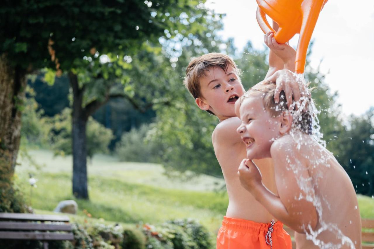 Chalets Und Apartments Hauserhof Nassfeld シュラニツェン エクステリア 写真